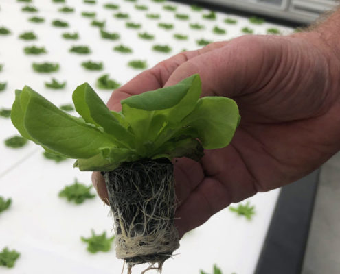 Altmarktgarten-Oberhausen-1-1050x583