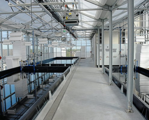 Dachgewaechshaus_35833_3-5932x3897